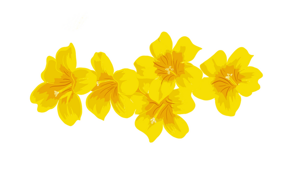 Yellow jasmine - Art Print