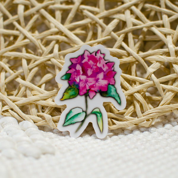 Pink Hydrandgea