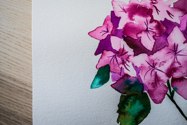 Pink Hydrangea - Original Watercolor