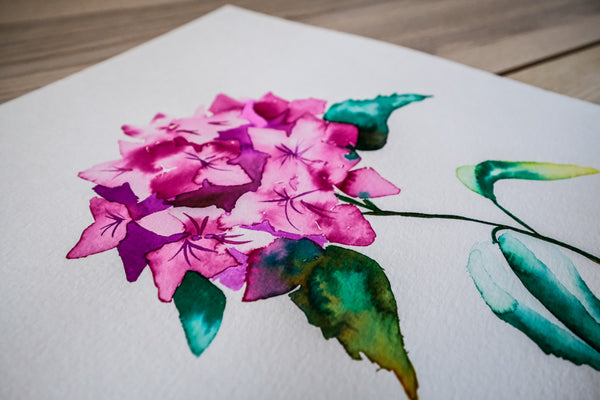 Pink Hydrangea - Original Watercolor
